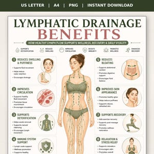 Può includere: Un grafico educativo intitolato Lymphatic Drainage Benefits che presenta un'illustrazione centrale di un corpo umano con linfonodi e vasi evidenziati, circondato da otto sezioni numerate che descrivono i benefici con icone e testo.