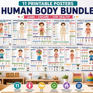 以下が含まれることがあります： 「Human Body Bundle」と題された11枚の印刷可能な教育用ポスターセット。子供向けの解剖学、身体システム、臓器、健康的な習慣を示すカラフルなイラストと、各トピックに関するテキストラベルや図解が記載されています。