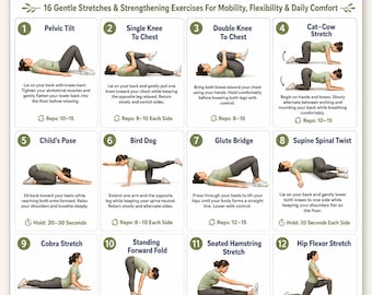 Lower Back Pain Relief Exercises | 16 Easy Stretch & Mobility Workout Chart | No Equipment Back Pain Relief Printable | Digital Download