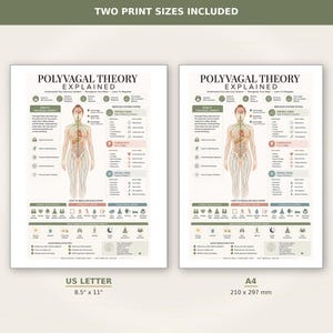 May include: Two educational prints titled Polyvagal Theory Explained, featuring a human body diagram with nervous system states, symptoms, and regulation tips. Includes US Letter 8.5" x 11" and A4 210 x 297 mm sizes with text and icons.