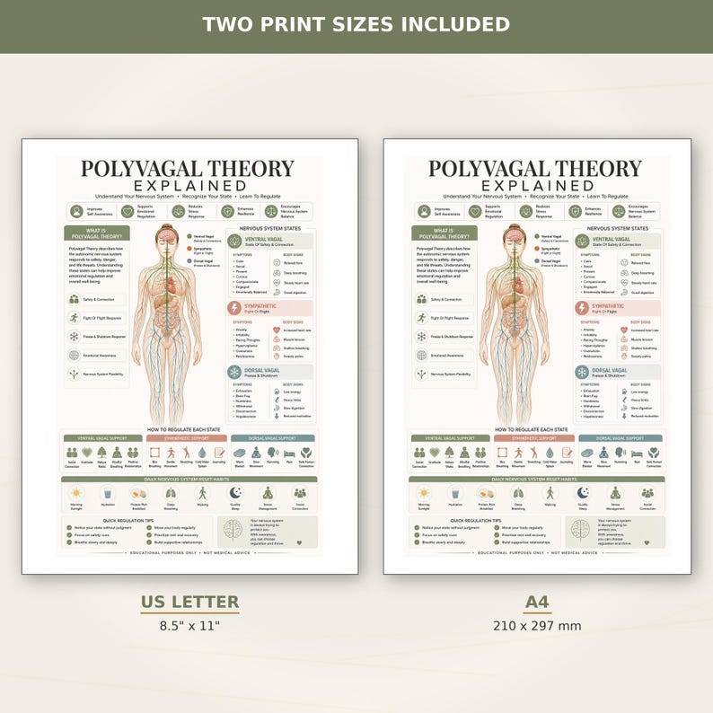 May include: Two educational prints titled Polyvagal Theory Explained, featuring a human body diagram with nervous system states, symptoms, and regulation tips. Includes US Letter 8.5" x 11" and A4 210 x 297 mm sizes with text and icons.