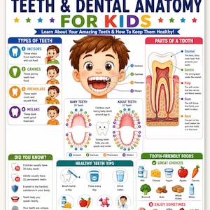 Puede incluir: Un póster educativo titulado TEETH & DENTAL ANATOMY FOR KIDS que presenta una ilustración central de un niño, diagramas de tipos de dientes, anatomía dental, conteo de dientes, consejos de salud bucal y ejemplos de alimentos saludables.