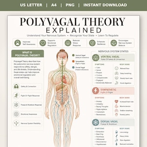 May include: An educational chart titled Polyvagal Theory Explained, featuring a central human body diagram with colour-coded nervous system pathways. It includes text sections detailing nervous system states, symptoms, and body signs in green, orange, and blue.