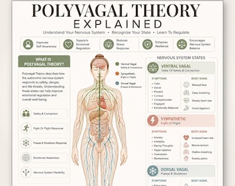 Polyvagal Theory Explained Printable | Nervous System States Chart | Vagus Nerve Regulation | Mental Health Wellness Printable A4 US Letter