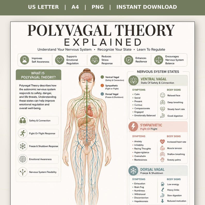 May include: An educational chart titled Polyvagal Theory Explained, featuring a central human body diagram with colour-coded nervous system pathways. It includes text sections detailing nervous system states, symptoms, and body signs in green, orange, and blue.