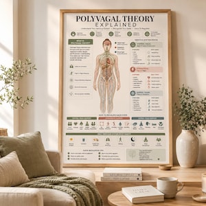 May include: A framed educational poster titled Polyvagal Theory Explained, featuring a central anatomical diagram of the human nervous system. The chart includes detailed text, icons, and colour-coded sections describing ventral, sympathetic, and dorsal states.