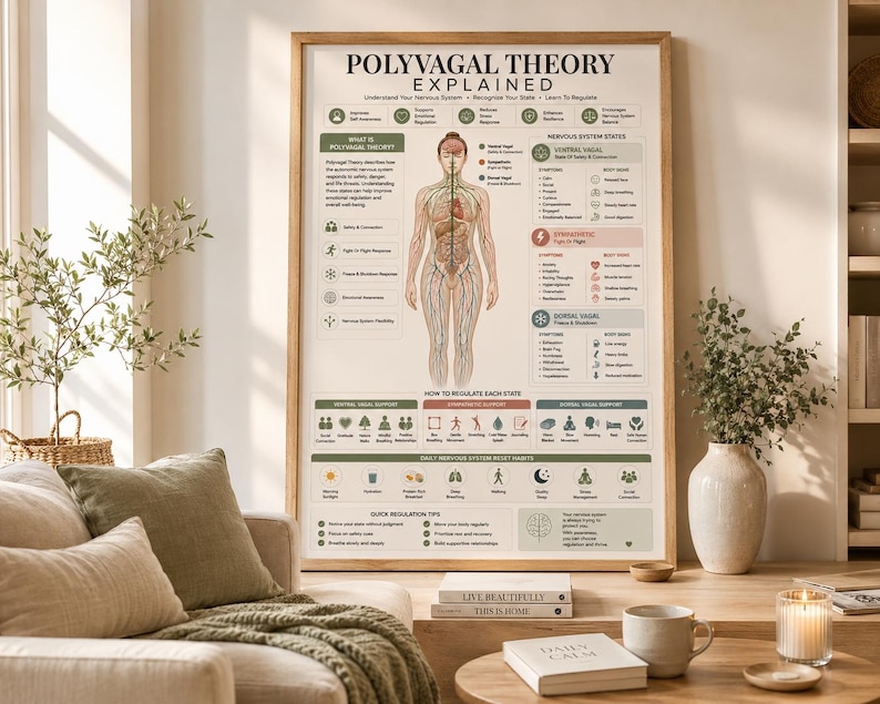 May include: A framed educational poster titled Polyvagal Theory Explained, featuring a central anatomical diagram of the human nervous system. The chart includes detailed text, icons, and colour-coded sections describing ventral, sympathetic, and dorsal states.