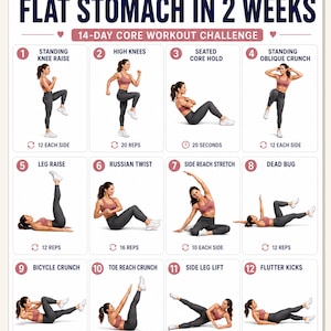 以下が含まれることがあります： FLAT STOMACH IN 2 WEEKS 14-DAY CORE WORKOUT CHALLENGEというタイトルのデジタルワークアウトチャート。ピンクのスポーツブラとグレーのレギンスを着用した人物が、回数付きで様々な運動を行っている16の番号付きエクササイズイラストが掲載されています。