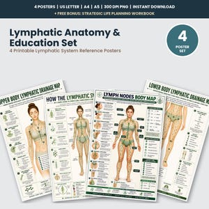 Lymphatic Anatomy and Education Chart Set Printable, 4 Poster Body System Reference Bundle, Lymph Nodes Map, Drainage Pathways Chart PDF