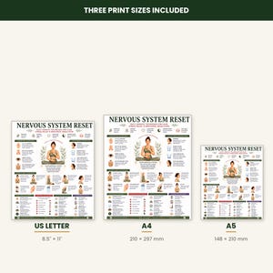 Nervous System Reset Printable, Somatic Techniques Poster for Stress Relief Anxiety, Vagus Nerve & Grounding Guide, A4 US Letter PDF