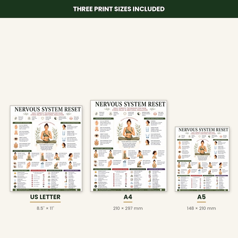 Nervous System Reset Printable, Somatic Techniques Poster for Stress Relief Anxiety, Vagus Nerve & Grounding Guide, A4 US Letter PDF