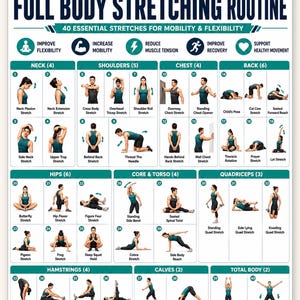 Full Body Stretching Routine Poster Printable | 40 Stretches for Mobility & Flexibility | Daily Stretch Guide Chart | Instant Download