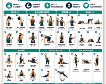 Full Body Stretching Routine Poster Printable | 40 Stretches for Mobility & Flexibility | Daily Stretch Guide Chart | Instant Download