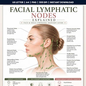 Gezichtslymfeklieren poster | Lymfedrainagetabel gezicht en nek | Gua Sha-gids | Referentie schoonheidsspecialiste | Wellness afdrukbare A4 US Letter