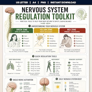 Peut inclure: Une affiche éducative Nervous System Regulation Toolkit avec des illustrations du cerveau et du système nerveux. Elle présente les zones verte, jaune et rouge, ainsi que des outils de régulation comme la respiration, l'ancrage et le mouvement.