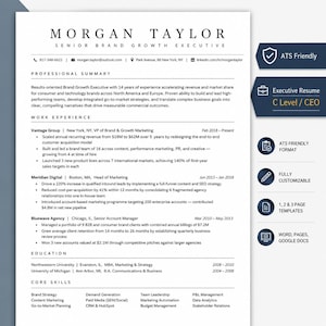 Executive Resume Template | Modern C Level Resume Template for Word | CEO Resume | Director Resume Template 2026 | 3 Page Resume Template