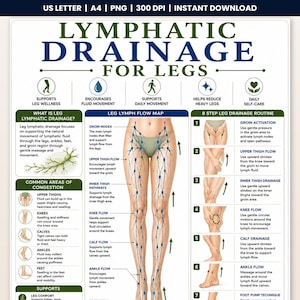 Può includere: Un grafico educativo intitolato Lymphatic Drainage for Legs che presenta un diagramma centrale di gambe umane con percorsi linfatici blu, icone per i benefici del benessere e una guida di routine in 8 fasi con istruzioni per il massaggio.