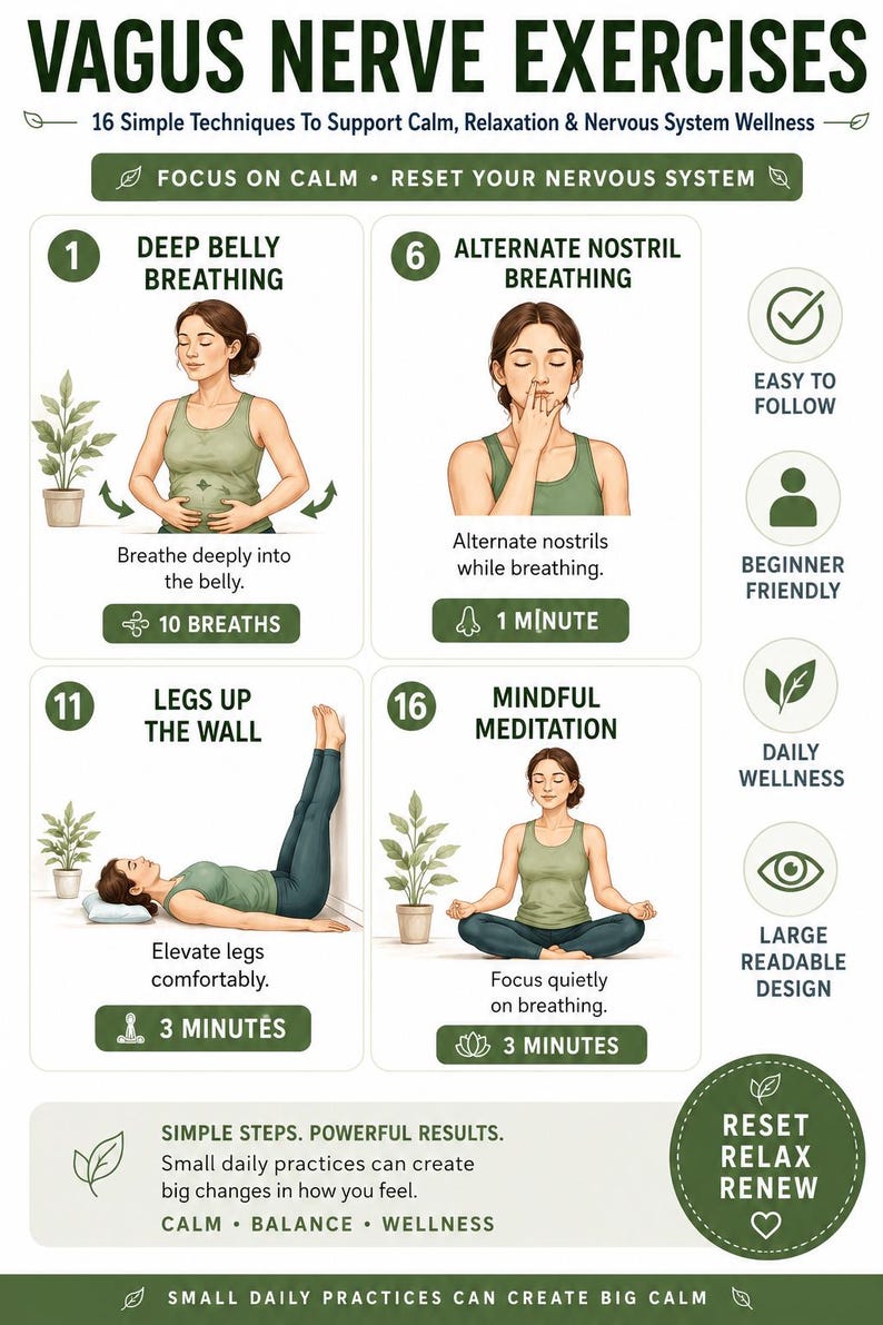 Vagus Nerve Exercises Printable, Breathing and Relaxation Routine, Gentle Movement Exercises, Daily Routine Chart, PDF Poster