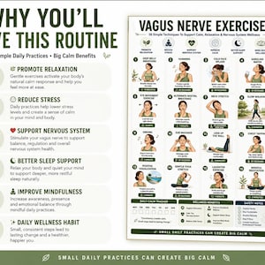 Vagus Nerve Exercises Printable, Breathing and Relaxation Routine, Gentle Movement Exercises, Daily Routine Chart, PDF Poster