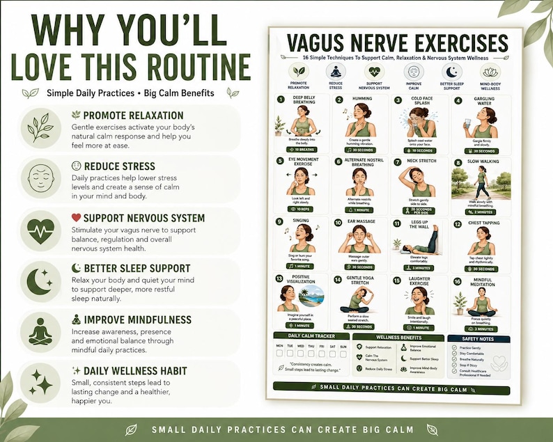 Vagus Nerve Exercises Printable, Breathing and Relaxation Routine, Gentle Movement Exercises, Daily Routine Chart, PDF Poster