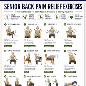 Back Pain Relief Exercises for Seniors | Lower Back Workout for Seniors|Chair Yoga Poster for Older Men |No Equipment Seated Exercise Chart