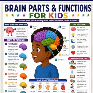 May include: A printable educational poster titled Brain Parts & Functions for Kids featuring a central illustration of a child with a color-coded brain diagram. The poster includes sections on brain functions, parts, body connections, and healthy tips.