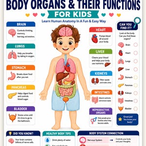 Body Organs for Kids Poster |Human Anatomy Chart for Children |Kids Body Systems Print|Homeschool & Classroom Science |Educational Wall Art