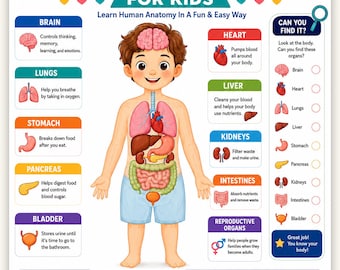 Body Organs for Kids Poster |Human Anatomy Chart for Children |Kids Body Systems Print|Homeschool & Classroom Science |Educational Wall Art