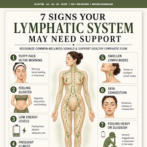 May include: An educational poster titled 7 Signs Your Lymphatic System May Need Support. It features a central illustration of a human body with green lymphatic vessels and seven numbered sections detailing symptoms like puffy face, bloating, and fatigue.