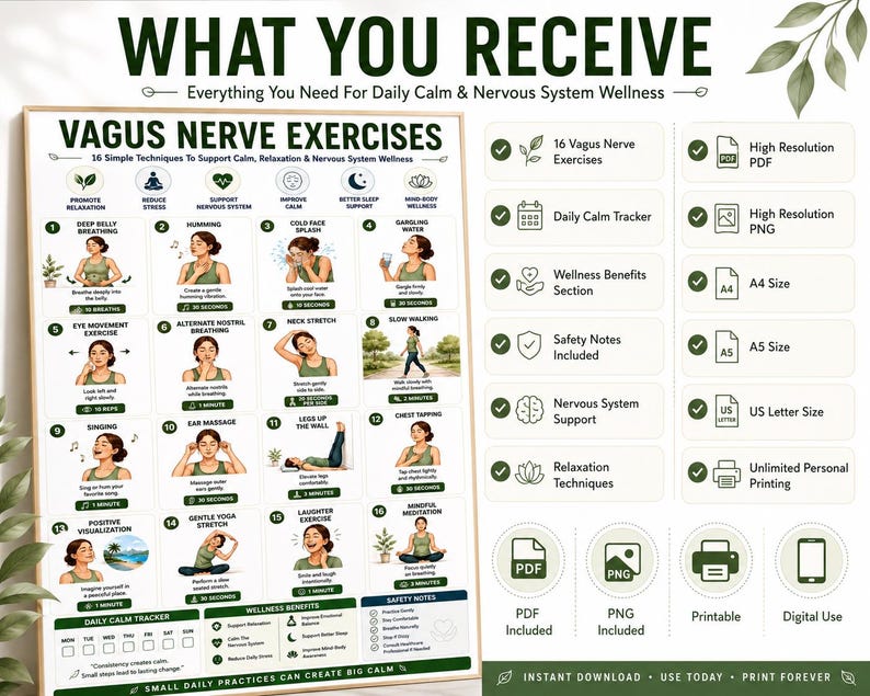 Vagus Nerve Exercises Printable, Breathing and Relaxation Routine, Gentle Movement Exercises, Daily Routine Chart, PDF Poster