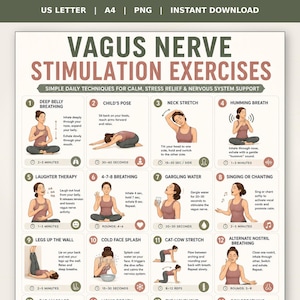 Pode incluir: Uma infografia bege com "Exercícios de Estimulação do Nervo Vago". Apresenta ilustrações de exercícios como respiração abdominal profunda, postura da criança, alongamento do pescoço e respiração zumbindo, com durações.