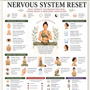 Puede incluir: Un p&oacute;ster educativo digital titulado Nervous System Reset que presenta t&eacute;cnicas som&aacute;ticas para el alivio del estr&eacute;s, la regulaci&oacute;n emocional y el enraizamiento. El dise&ntilde;o incluye iconos ilustrados, texto instructivo y una figura central sentada.