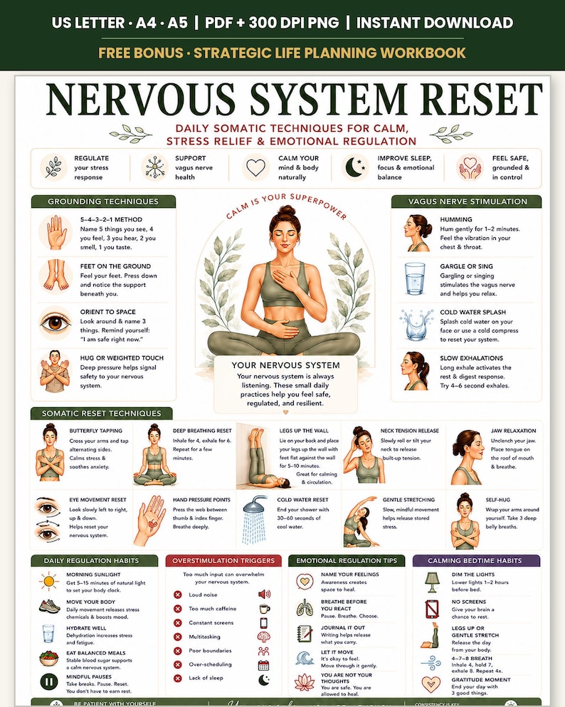 Puede incluir: Un p&oacute;ster educativo digital titulado Nervous System Reset que presenta t&eacute;cnicas som&aacute;ticas para el alivio del estr&eacute;s, la regulaci&oacute;n emocional y el enraizamiento. El dise&ntilde;o incluye iconos ilustrados, texto instructivo y una figura central sentada.