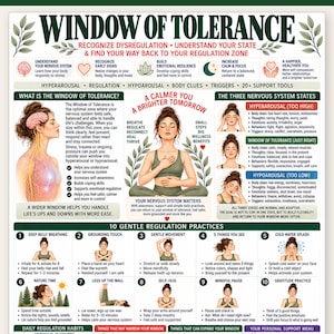 以下が含まれることがあります： 「Window of Tolerance」の教育用ポスター。中央に瞑想する人物のイラストが描かれ、その周囲に神経系の図、感情調整の状態、アイコンと説明文付きの10の穏やかな実践方法が配置されています。