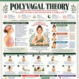 Op de afbeelding: Een educatieve infographic getiteld Polyvagal Theory met diagrammen van het zenuwstelsel, illustraties van een persoon die mindfulness beoefent en een genummerde lijst van tien regulatietools, waaronder ademhalings- en bewegingsoefeningen.