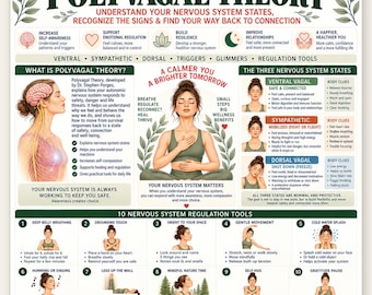 Polyvagal Theory Poster, Nervous System States Chart, Ventral Sympathetic Dorsal Vagal Guide, Therapy Somatic Wellness Printable PDF