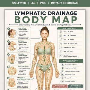 Peut inclure: Une affiche éducative numérique intitulée LYMPHATIC DRAINAGE BODY MAP montrant une figure humaine centrale avec des voies lymphatiques vertes. Le document inclut des sections numérotées détaillant les ganglions lymphatiques.