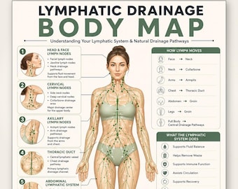 Full Body Lymphatic Drainage Printable Map, Lymph Flow Massage Guide PDF, Wellness Circulation Chart, Puffiness Support Digital Download PDF