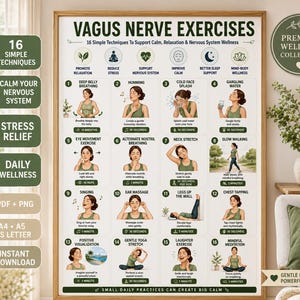 Vagus Nerve Exercises Printable, Breathing and Relaxation Routine, Gentle Movement Exercises, Daily Routine Chart, PDF Poster