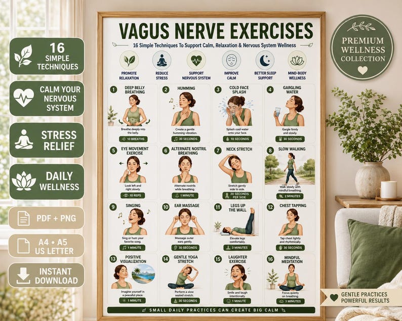 Vagus Nerve Exercises Printable, Breathing and Relaxation Routine, Gentle Movement Exercises, Daily Routine Chart, PDF Poster