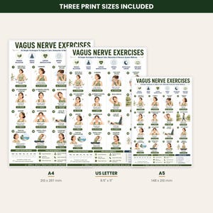 Vagus Nerve Exercises Printable, Breathing and Relaxation Routine, Gentle Movement Exercises, Daily Routine Chart, PDF Poster