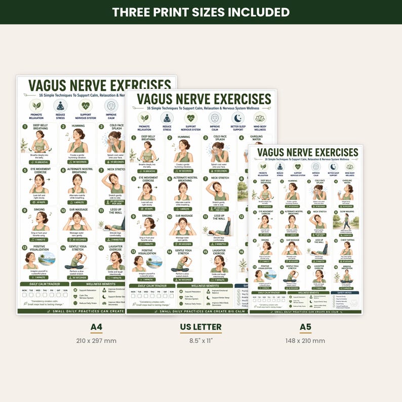 Vagus Nerve Exercises Printable, Breathing and Relaxation Routine, Gentle Movement Exercises, Daily Routine Chart, PDF Poster