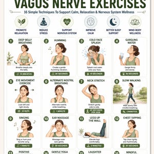 Vagus Nerve Exercises Printable, Breathing and Relaxation Routine, Gentle Movement Exercises, Daily Routine Chart, PDF Poster
