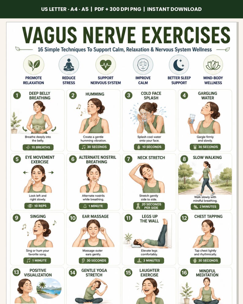 Vagus Nerve Exercises Printable, Breathing and Relaxation Routine, Gentle Movement Exercises, Daily Routine Chart, PDF Poster