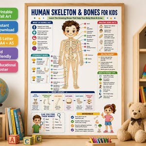May include: An educational poster titled Human Skeleton & Bones for Kids featuring a central illustration of a child with a visible skeleton, surrounded by labeled bone diagrams, fun facts, and health tips in a wooden frame on a desk surface.