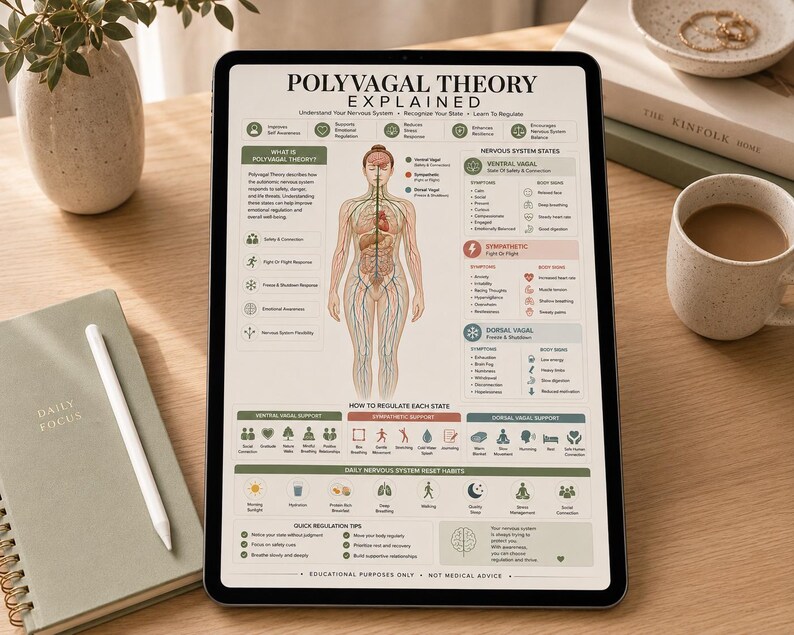 May include: A digital tablet displaying an educational infographic titled Polyvagal Theory Explained. The chart features a central human anatomy illustration with nervous system pathways, text sections on system states, regulation tips, and daily habits.