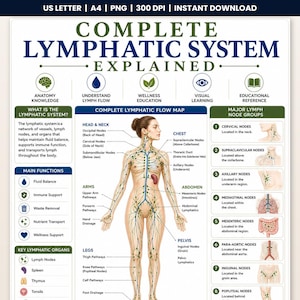 Puede incluir: Un póster educativo titulado COMPLETE LYMPHATIC SYSTEM EXPLAINED, que muestra una figura humana central con vasos y ganglios linfáticos resaltados, rodeada de cuadros de texto que detallan funciones, órganos y grupos.