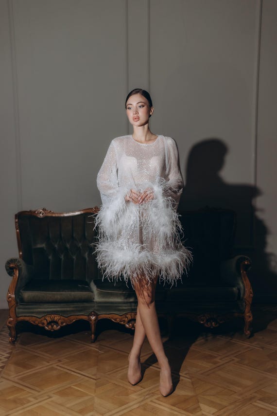 glitter bachelorette dress Feather Sleeves Glam Tulle Mini Dress Sheer Sparkle Dress Party Outfit Wedding Morning Robe Boudoir Mini Dress Style:Multicolor Textured sequins in varying Maternity Gowns Aloruh Women's Elegant Seductive