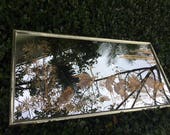 DOWN IN BIRDLAND 49 3 4 Wide Lovely Horizontal Eglomise Mirror With Herons Brass Metal Frame Coastal Decor Regency Decor