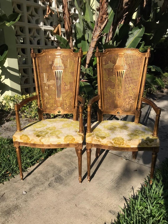 Unusual Pair of Carved Louis XVI High Back Cane Arm Chairs / 